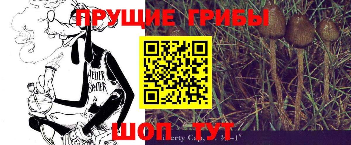 Псилоцибиновые грибы Psilocybine cubensis  Псилоцибиновые грибы MAGIC MUSHROOMS  Шарыпово  Вход с VPN 