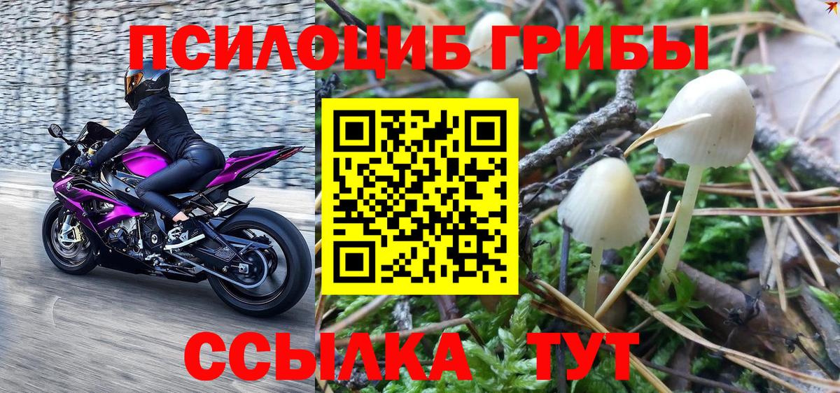 Псилоцибиновые грибы прущие грибы Шарыпово